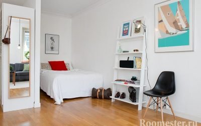 Options de conception pour un appartement d'une pièce avec une niche - les solutions de conception les plus réussies