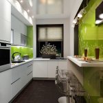 المطبخ الأخضر والأبيض الداخلية