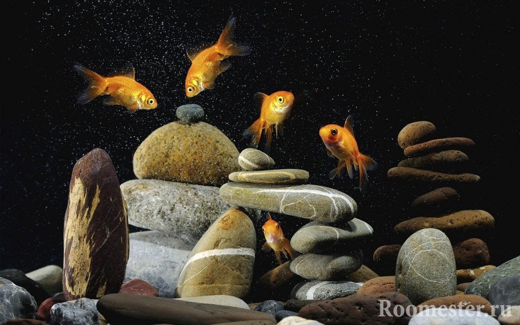 Decoração de aquário com pedras