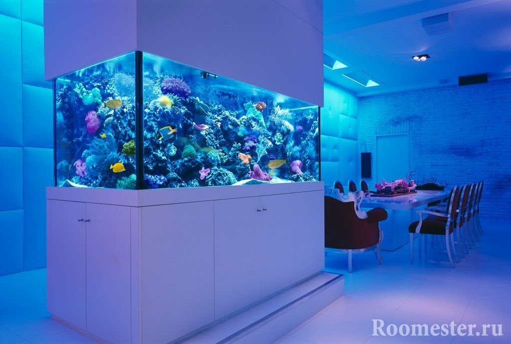 Aquarium marin utilisant des coraux de récifs vivants