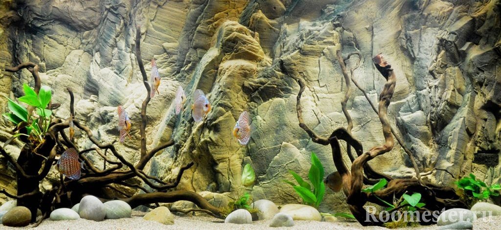 De fons decoratiu de l’aquari