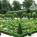 Hage i form av en busk labyrint