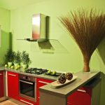 Pistacijų raudonos spalvos virtuvės interjeras