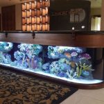 Comptoir de bar avec aquarium
