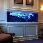 Bonic interior amb aquari integrat