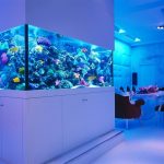 Dining room with aquarium
