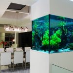 Cloison avec un aquarium à l'intérieur