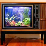 Aquarium tv