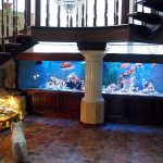Aquarium sous les escaliers