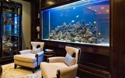 Bể cá trong nội thất - ý tưởng và lựa chọn chỗ ở