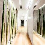 Bambou dans le couloir