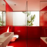 Raudonos sienos vonios kambaryje