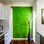الجدار الأخضر في المطبخ الأبيض الداخلية