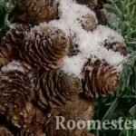 Cones com neve decorativa