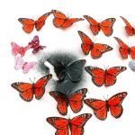 Kulayan namin ang mga butterflies sa isang kulay