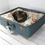 Γάτα σε μια βαλίτσα