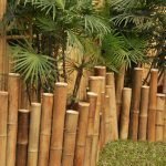 Clôture en bambou