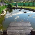 Rybník s mostom a kačicami