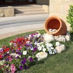 Parterre de fleurs avec un pot