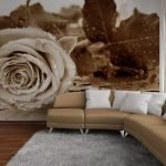 Sienų tapetai su rudomis rožėmis