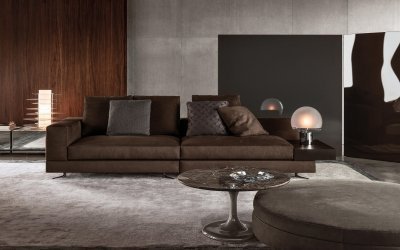 Brun sofa i interiøret +50 fotoeksempler