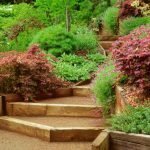 Drevené schody v záhrade