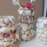 Seashells on Vases