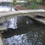 Rybník s mostom