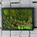 Bức tường gạch với một hình ảnh của rêu