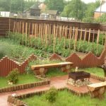 Thiết kế sân vườn DIY