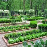 Zones for planting vegetables