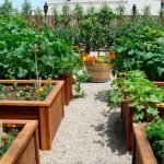 Ξύλινες παλέτες για την καλλιέργεια λαχανικών