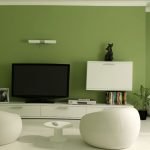 Alyvuogės ir baltos spalvos svetainės dizainas