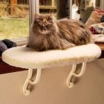 Solstol för en katt