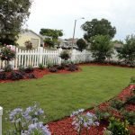 Lawn grass landscaping