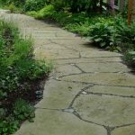 Wild Stone Garden Path