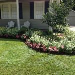 Flowerbed at home