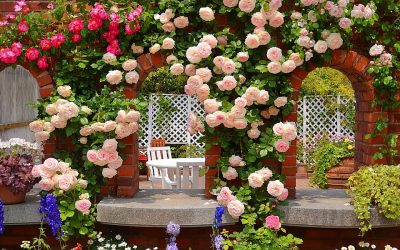 Roses en aménagement paysager: types et options de décoration