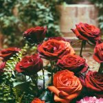 Czerwone róże w designie pola bramkowego