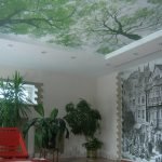 Stretch ceilings with photo printing with trees