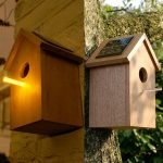 Birdhouse backlight