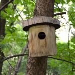 Birdhouse σε ένα δέντρο