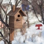 Birdhouse في فصل الشتاء