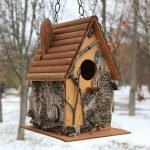 Kulit birch dalam hiasan rumah burung
