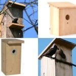 Kaip pasigaminti paukščių namelį iš improvizuotų priemonių