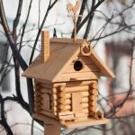 Birdhouse με πτερύγιο καιρού