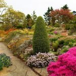 Jardim ornamental no jardim