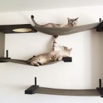 Dinding dipasang buaian untuk kucing