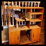 Κατοικία γάτας από την παλιά ντουλάπα