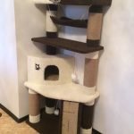 Καφέ-μπεζ σύμπλεγμα παιχνιδιών γάτας